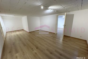Villa individuelle de 9 pièces à Trélex