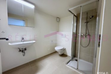 Villa individuelle de 9 pièces à Trélex