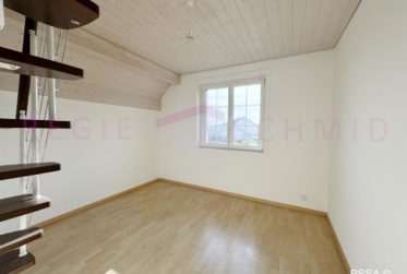 Villa jumelle de 6 pièces à Trélex