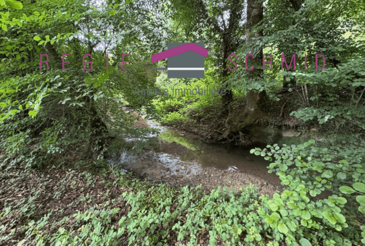 Ancienne ferme rénovée