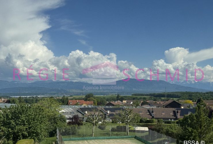 Villa jumelle de 7 pièces avec vue lac et Alpes à Borex