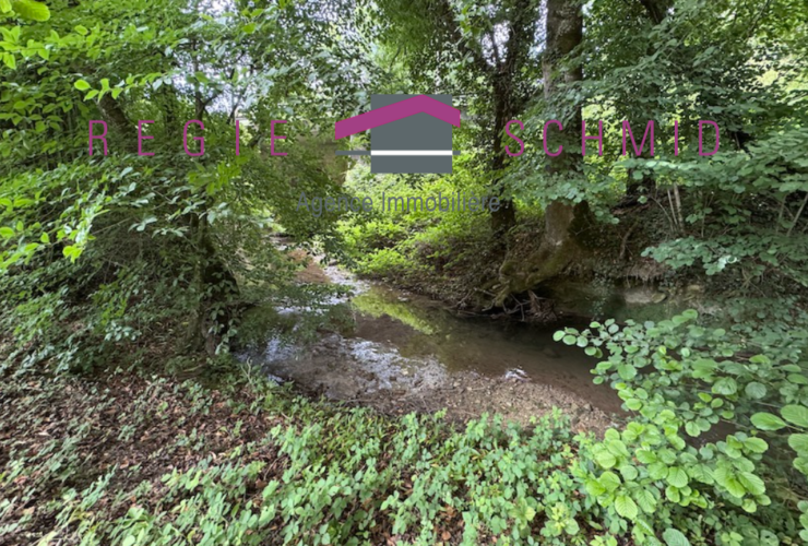 15 Rooms House, Renovated farm