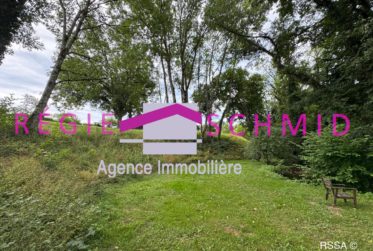 15 Rooms House, Renovated farm