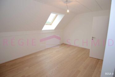 7 Rooms Flat, Duplex