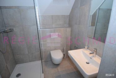 7 Rooms Flat, Duplex