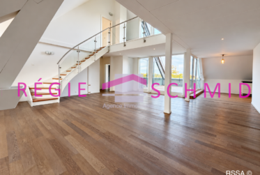 7 Rooms Flat, Duplex