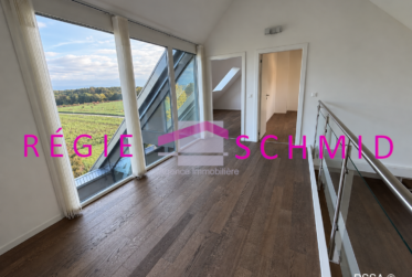 7 Rooms Flat, Duplex