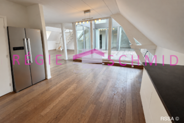 7 Rooms Flat, Duplex