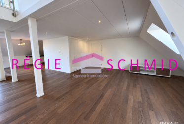 7 Rooms Flat, Duplex